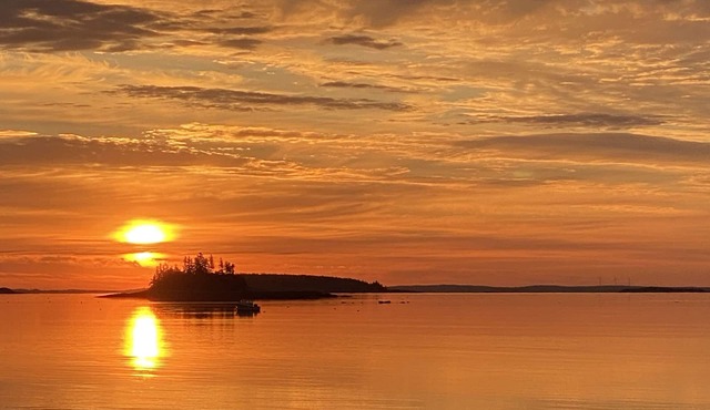Wonderful Artist's Retreat : Private Maine Waterfront : Monet would dig it!