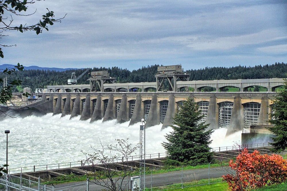Photo of Others in Stevenson