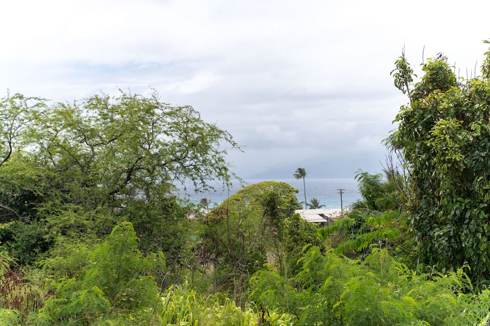 Photo of Outdoor in Napili