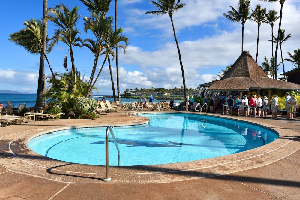Photo of Outdoor in Napili