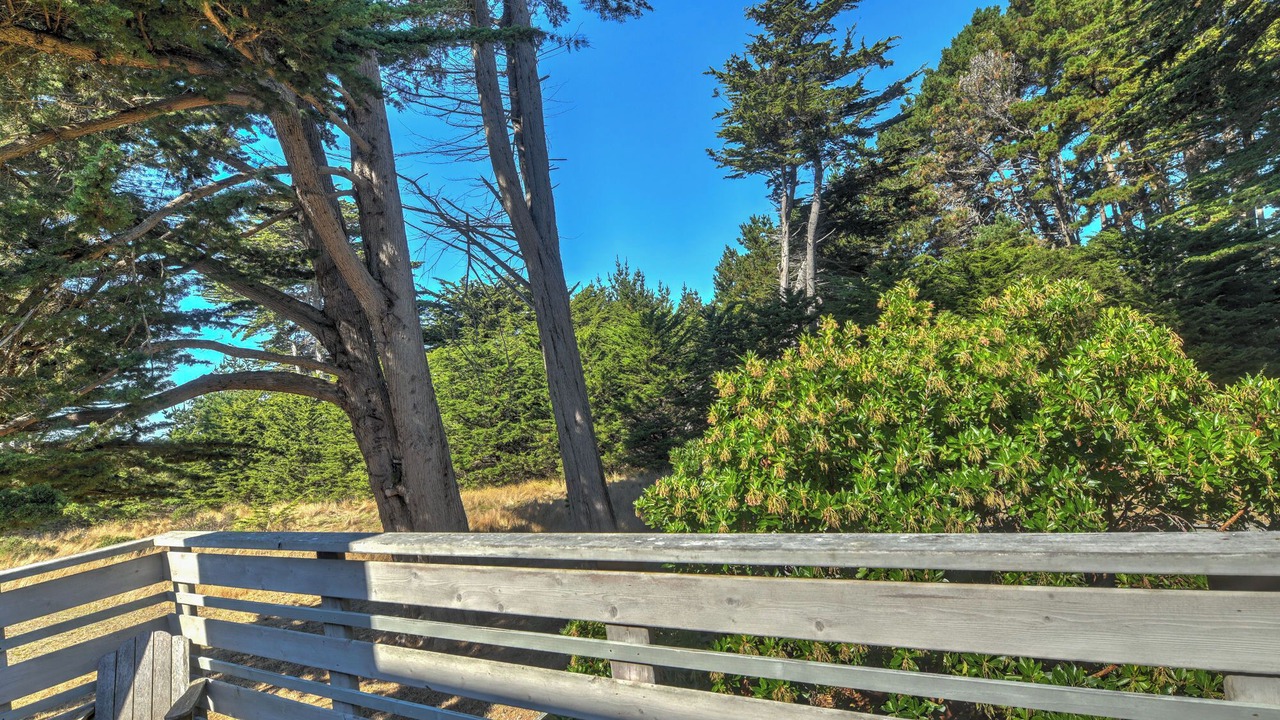 Photo of Outdoor in Sea Ranch