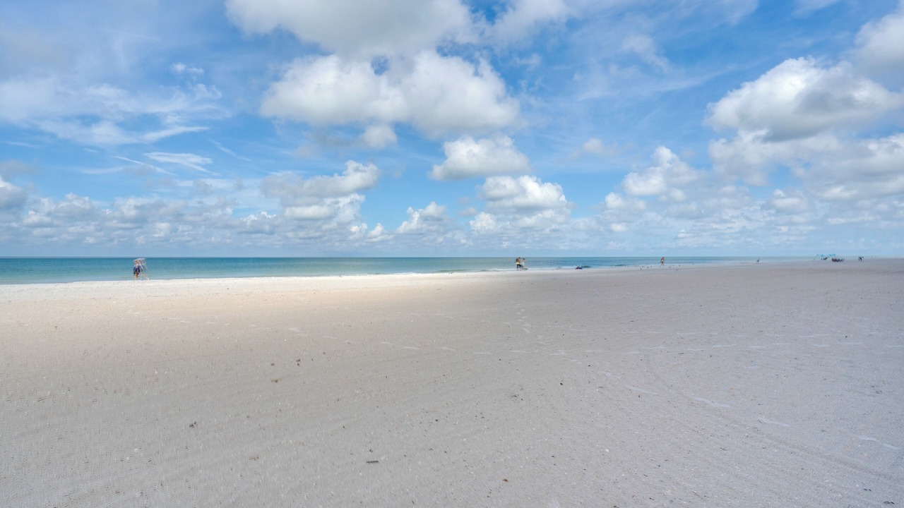 Photo of Others in Redington Shores