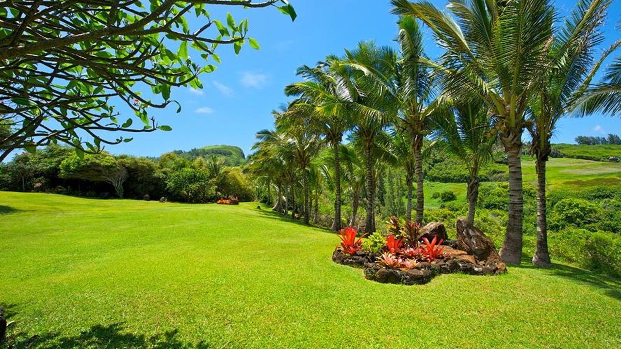 Photo of Others in Kilauea