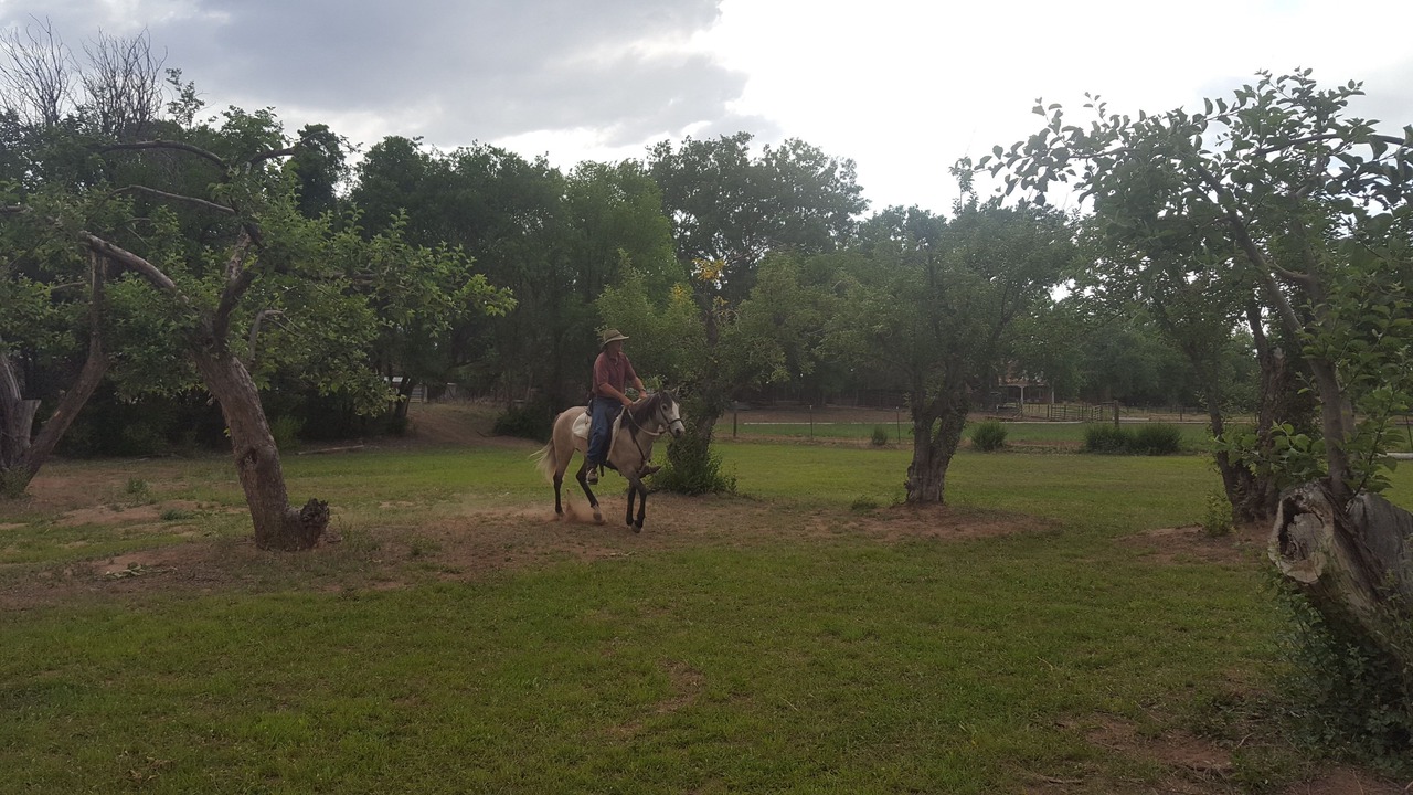 Photo of Others in Medanales