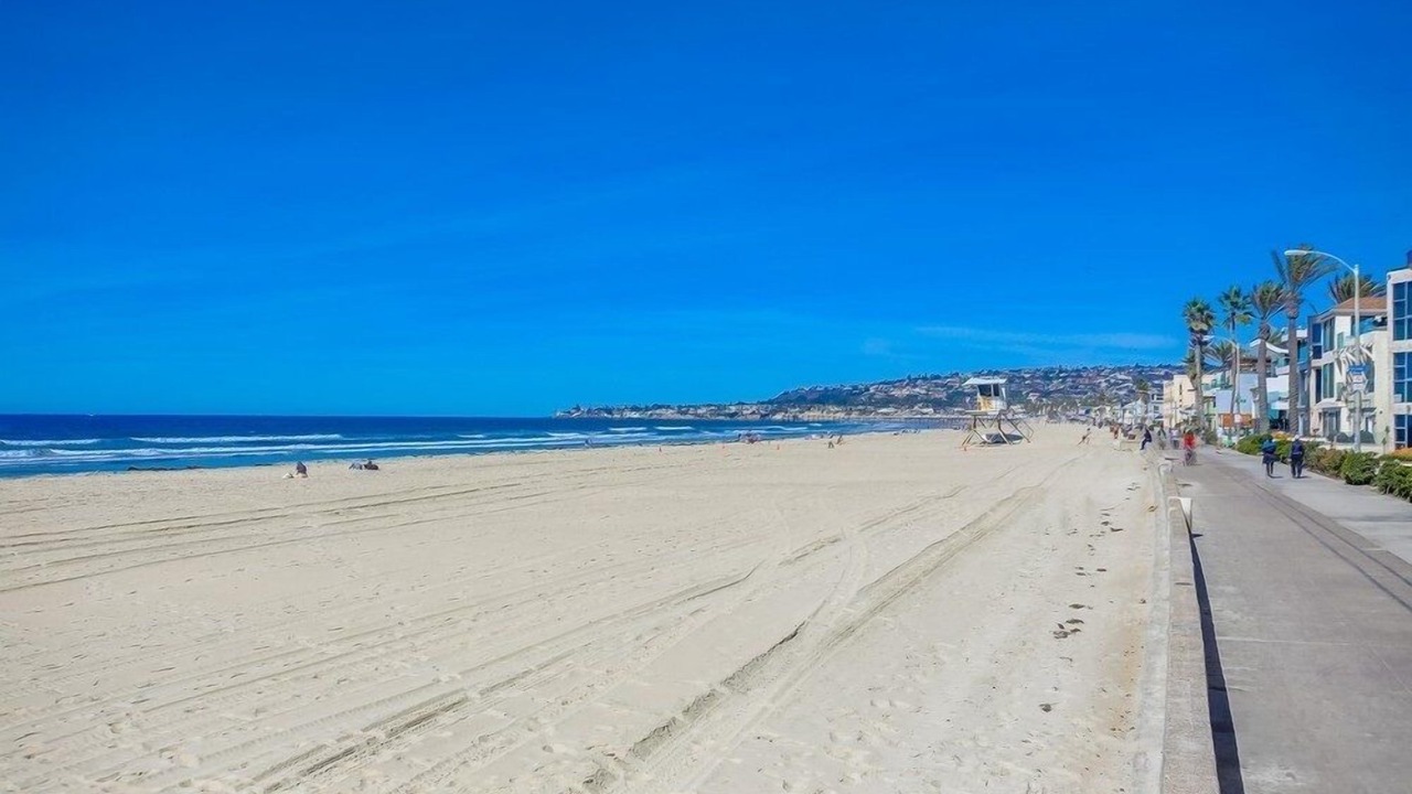 Photo of Others in Mission Beach