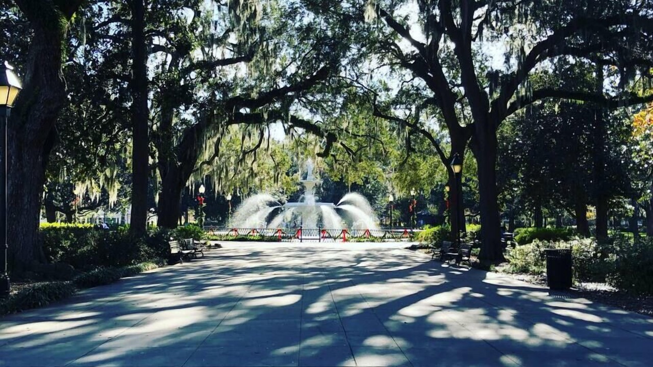 Photo of Outdoor in Dixon Park