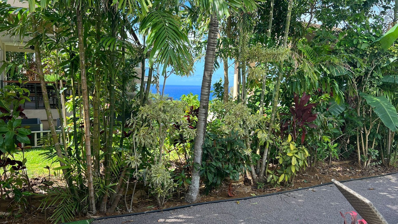 Photo of Outdoor in Princeville