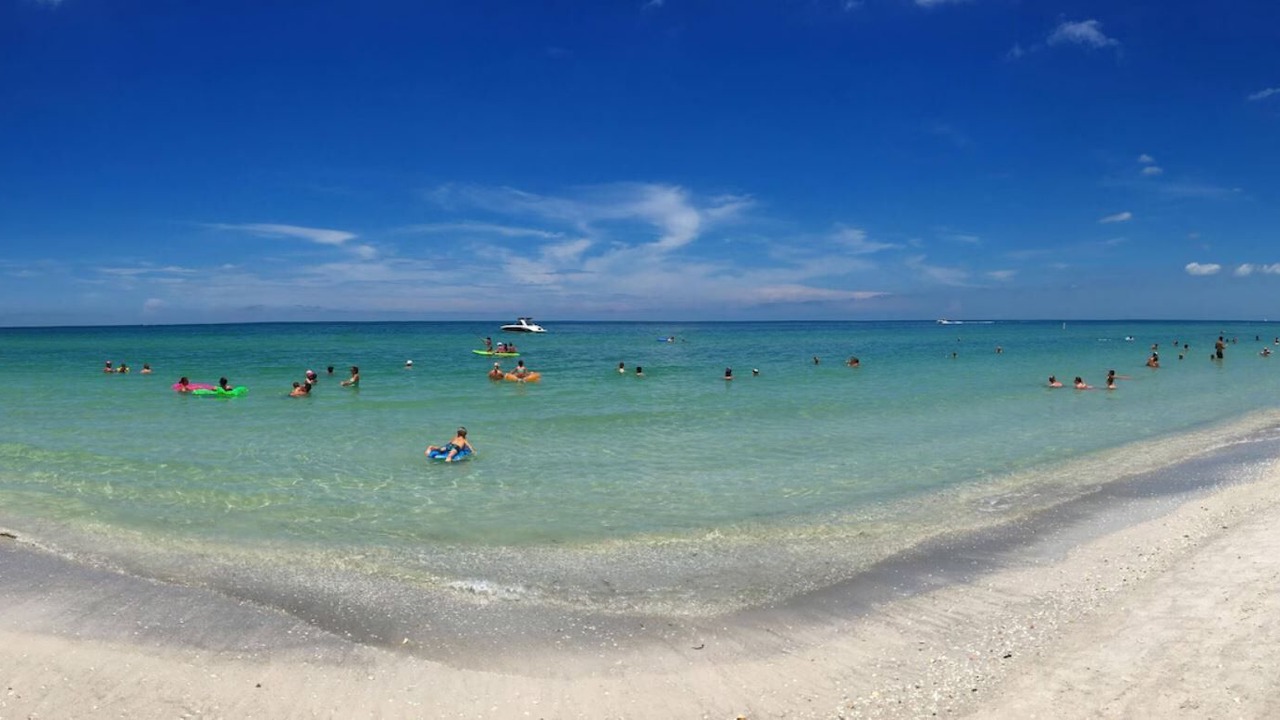 Photo of Others in Clearwater