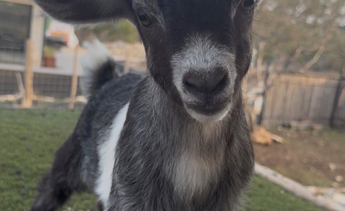 Photo of Others in Wimberley
