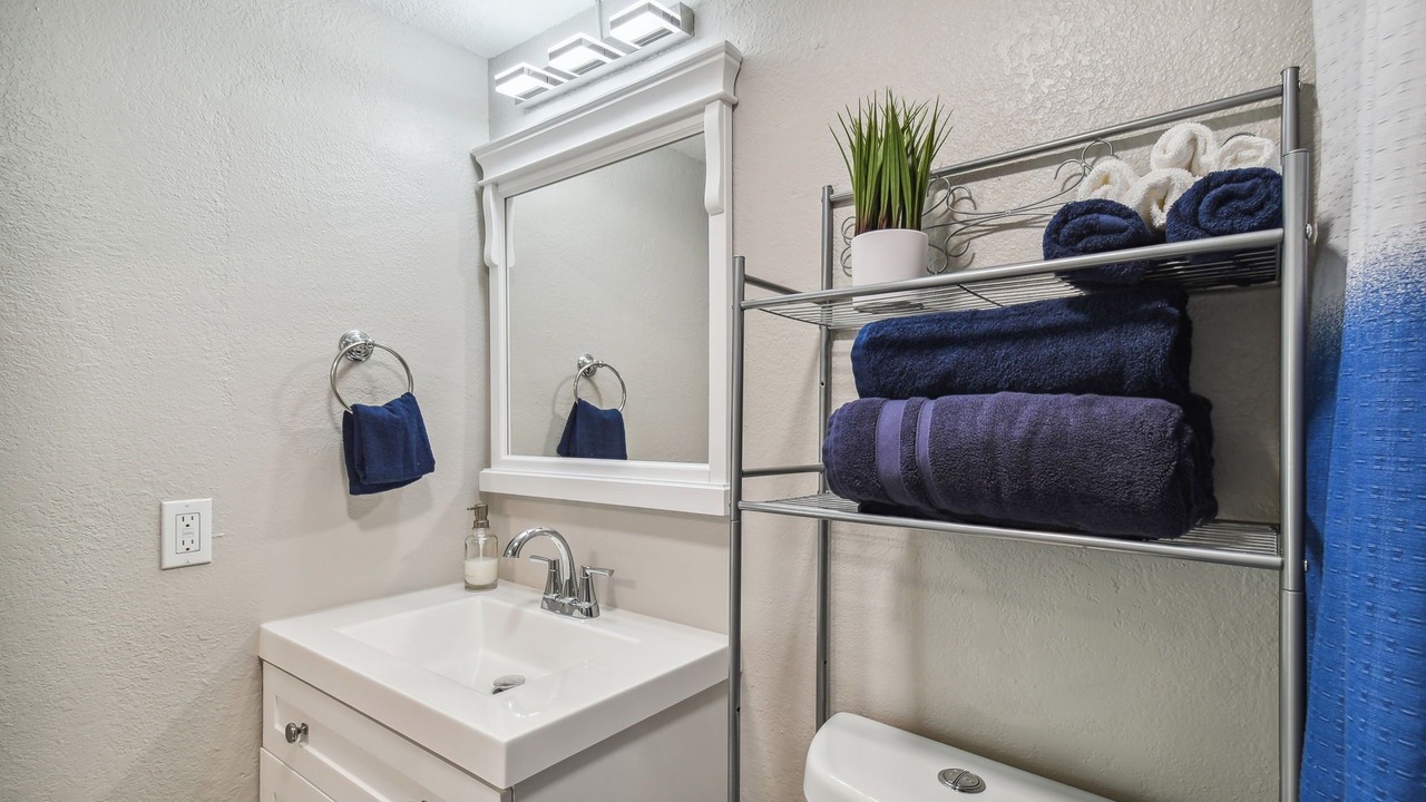 Photo of Bathroom in Temple Terrace