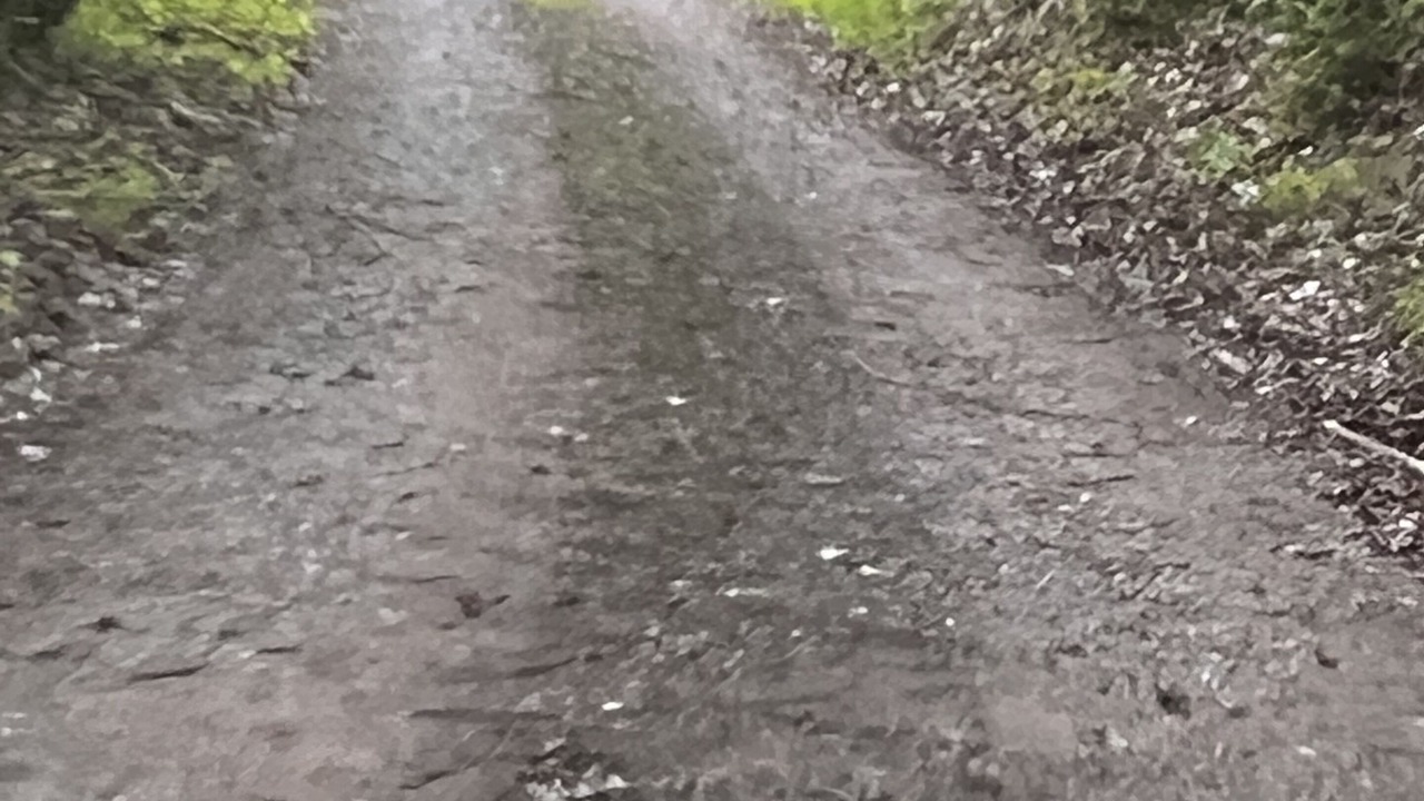 Photo of Outdoor in Pecks Mill