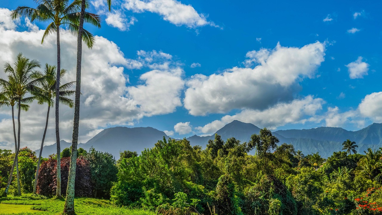 Photo of Others in Princeville