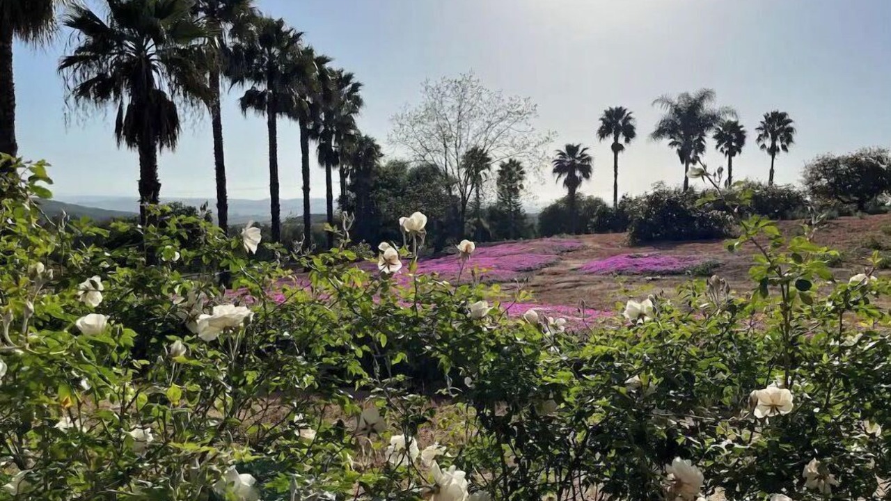 Photo of Outdoor in Fallbrook