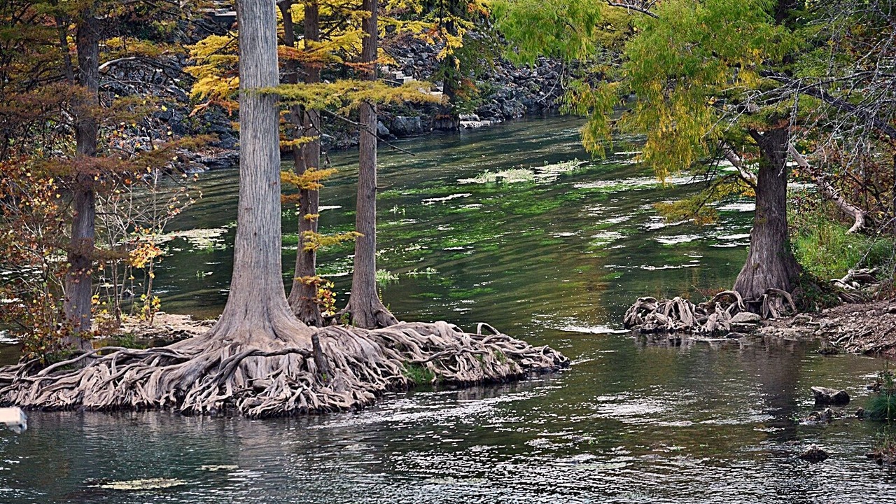 Photo of Others in Canyon Lake