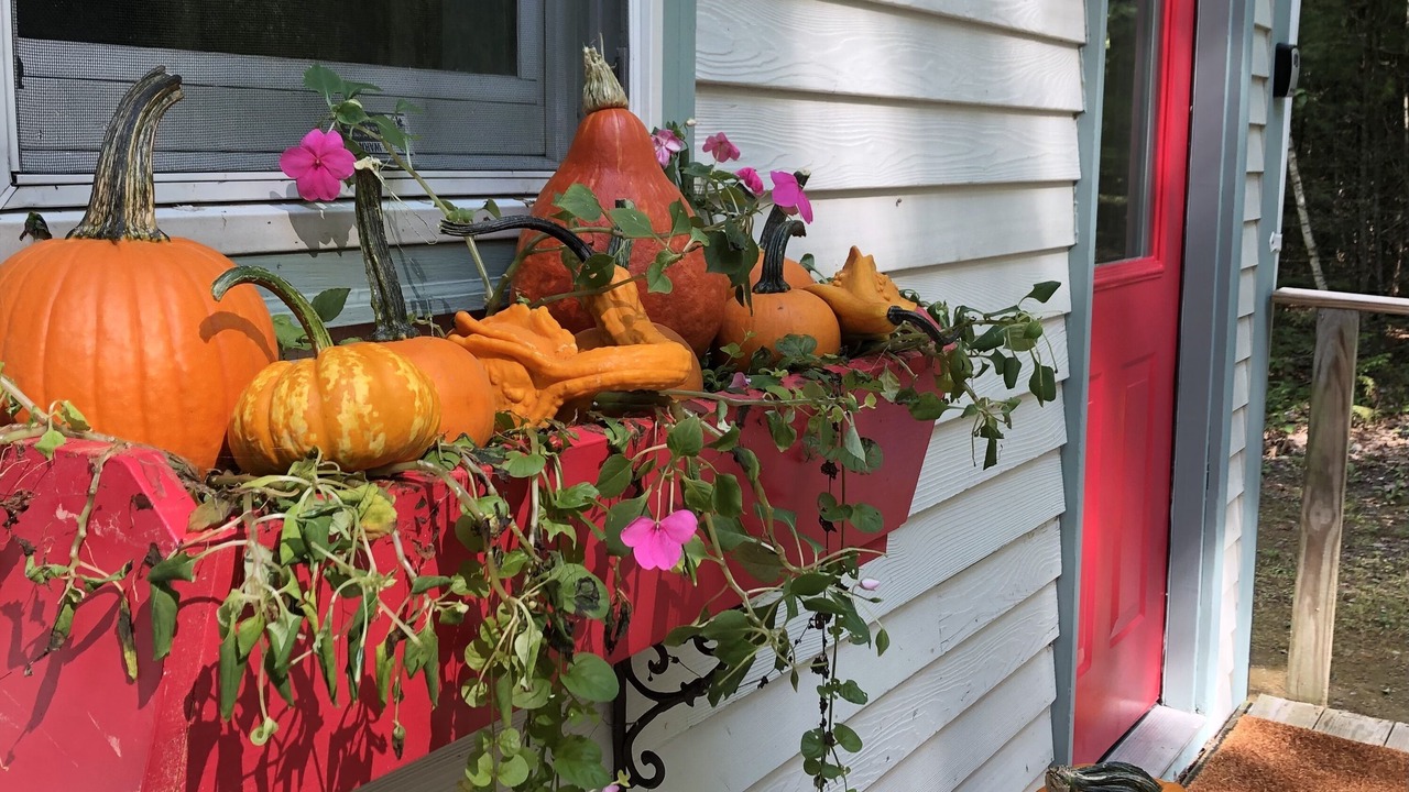 Photo of Outdoor in Lincolnville