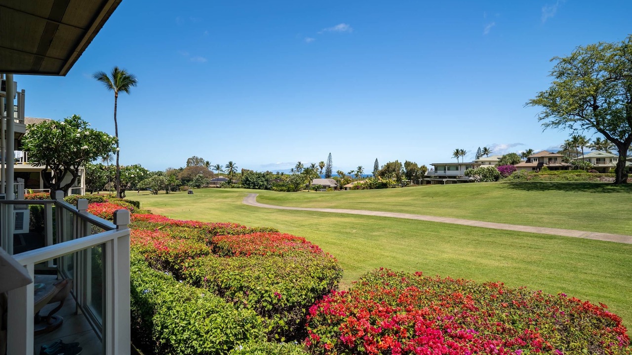 Photo of Others in Wailea