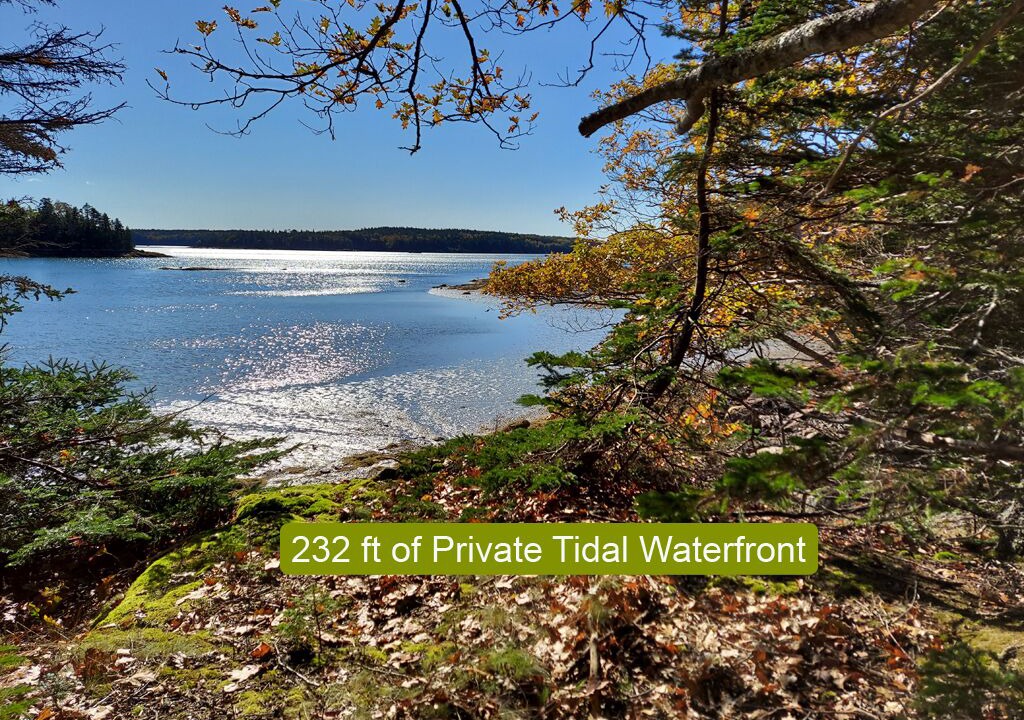 Photo of Outdoor in Deer Isle