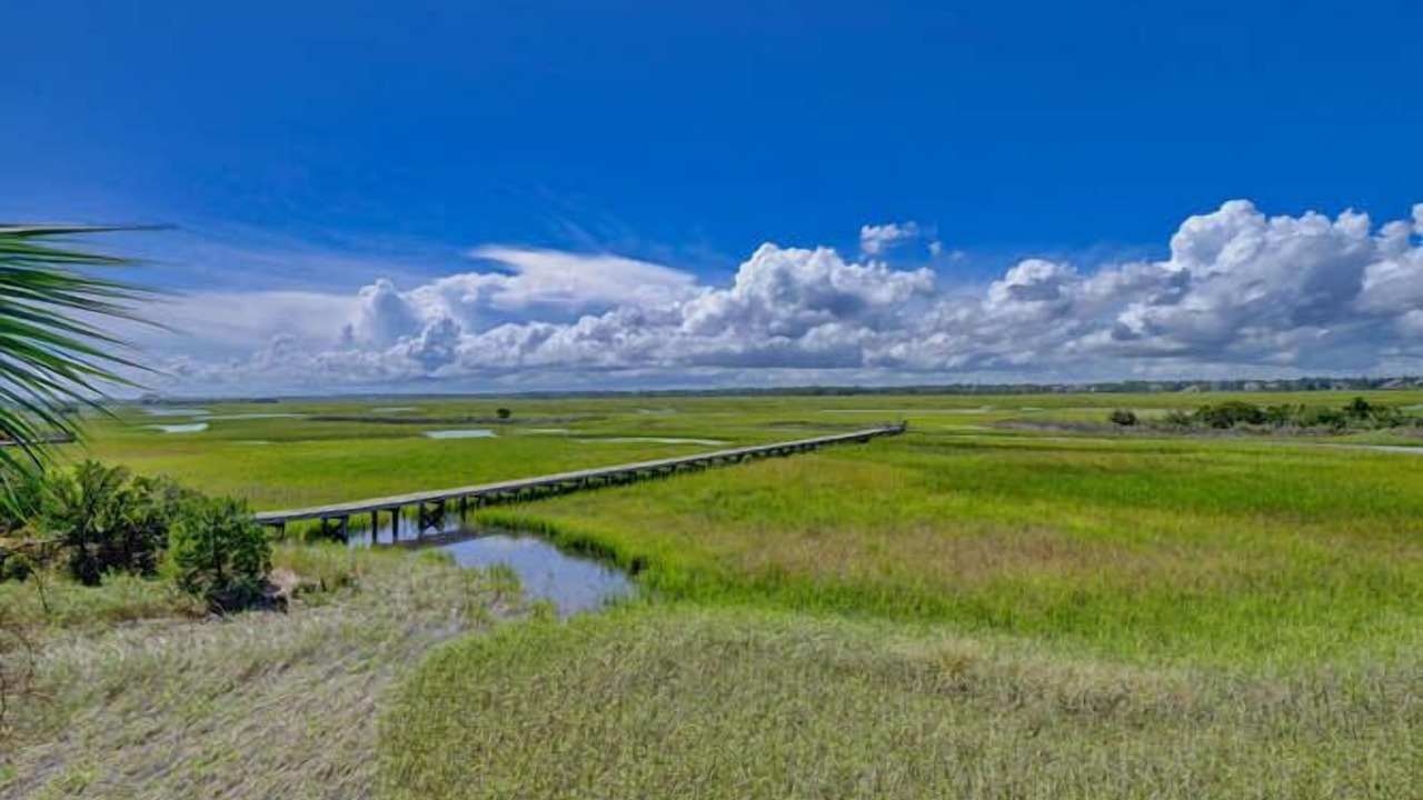 Photo of Others in Shell Island