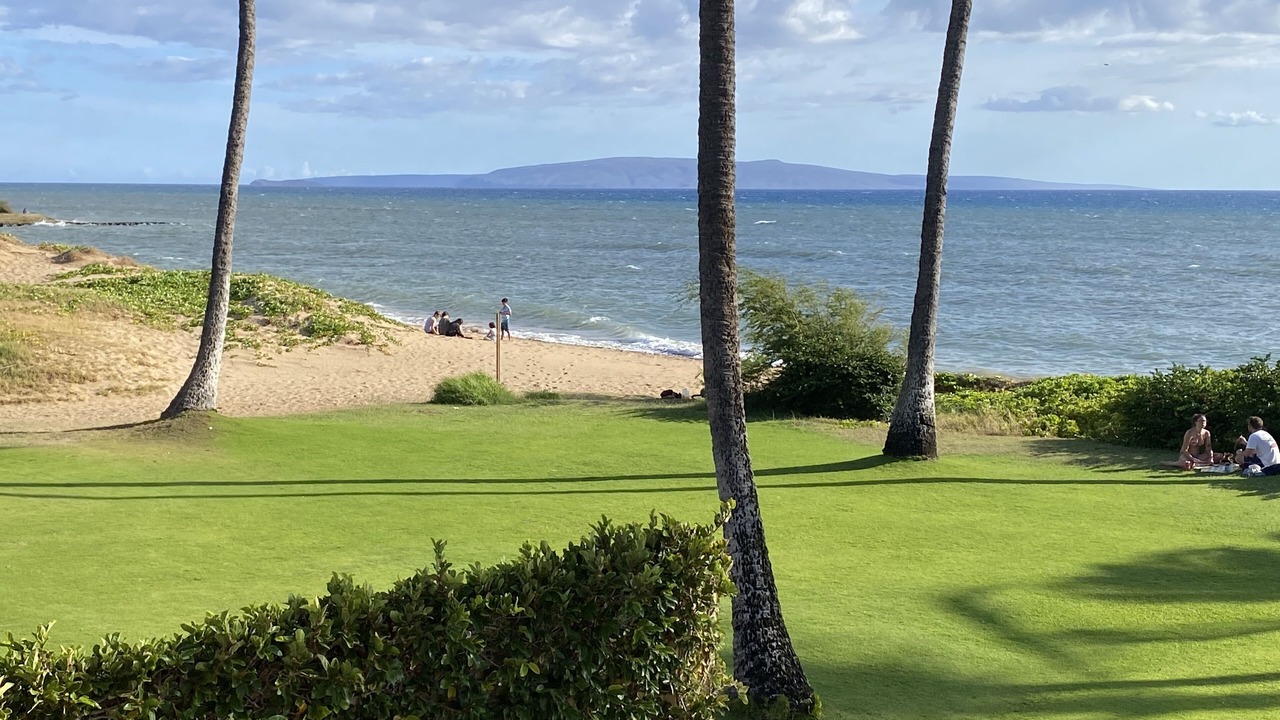 Photo of Others in Kihei