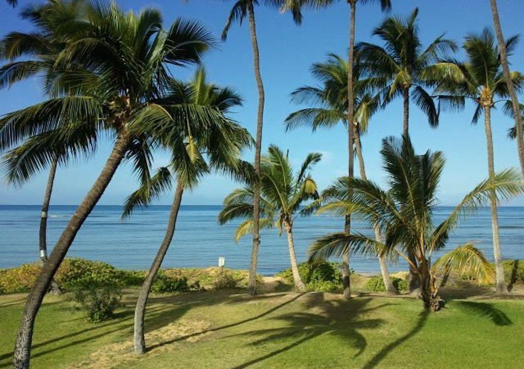 Photo of Others in Kihei
