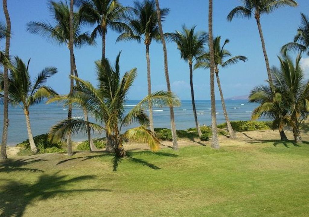 Photo of Others in Kihei