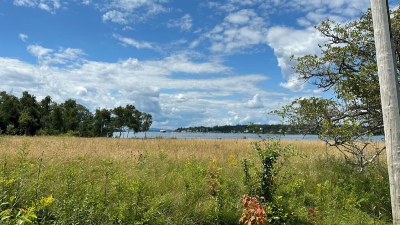 Photo of Outdoor in Brooksville