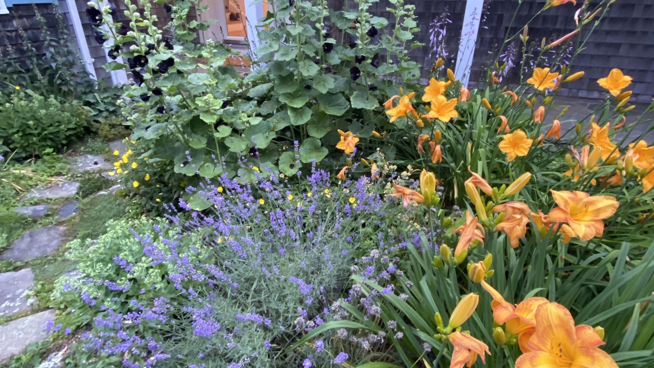 Photo of Outdoor in Spruce Head