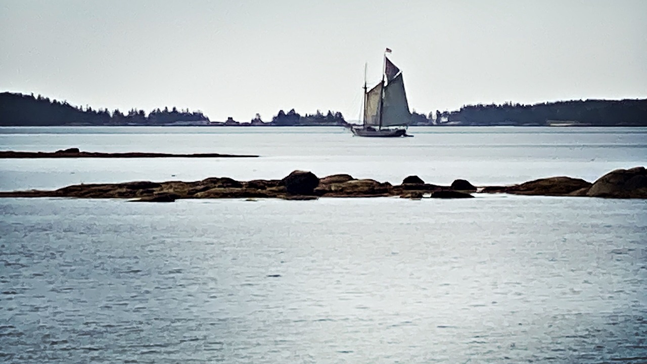 Photo of Others in Spruce Head