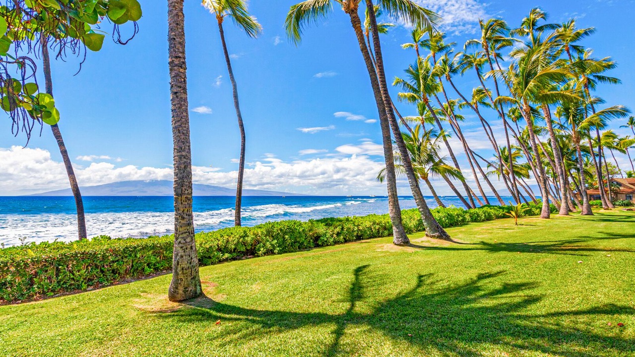 Photo of Others in Historic Lahaina Front Street