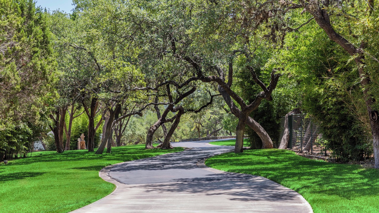 Photo of Outdoor in Canyon Lake