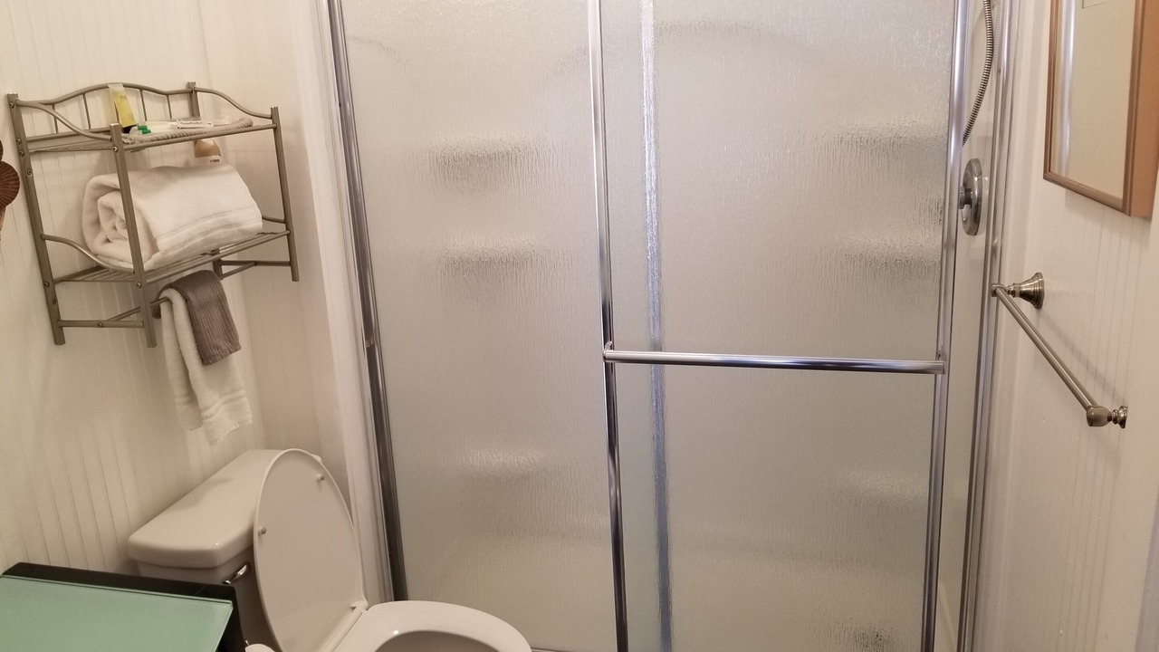 Photo of Bathroom in Downtown Dunedin