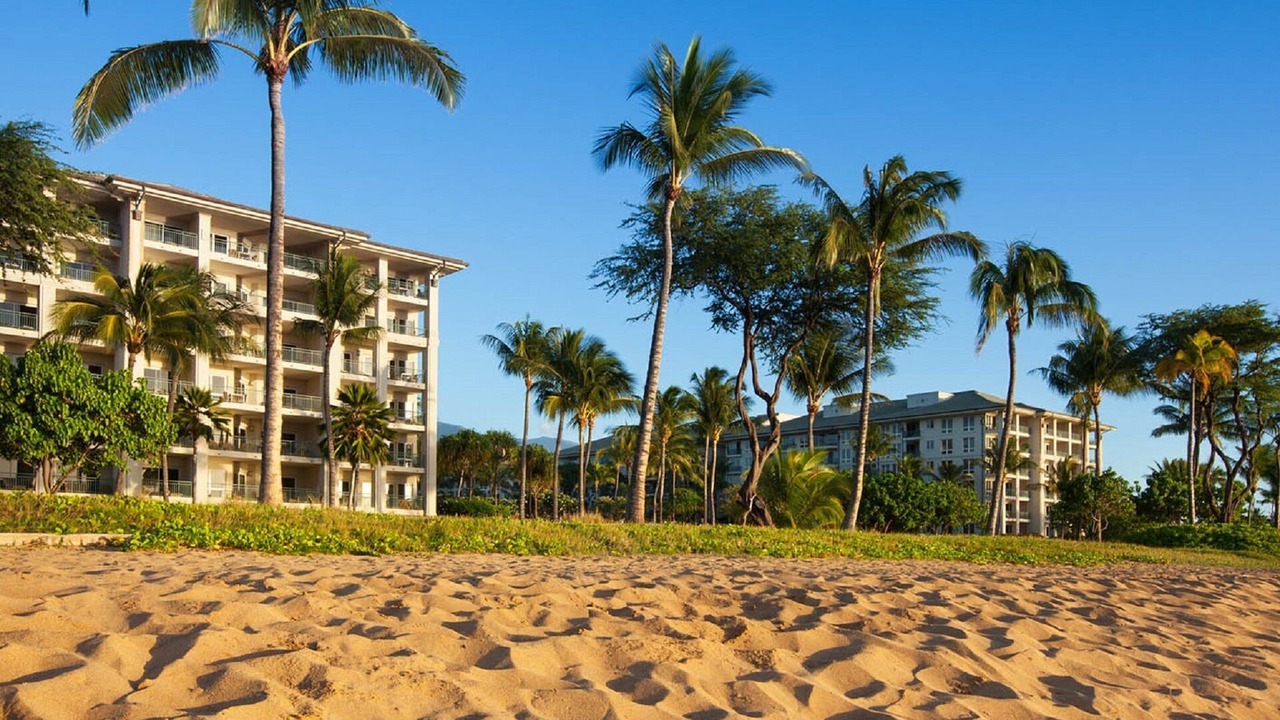 Photo of Others in Lahaina