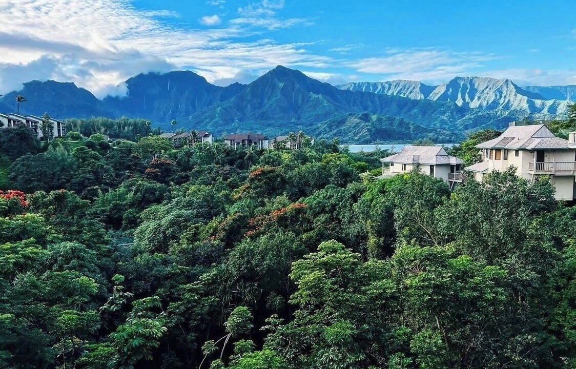 Photo of Others in Princeville