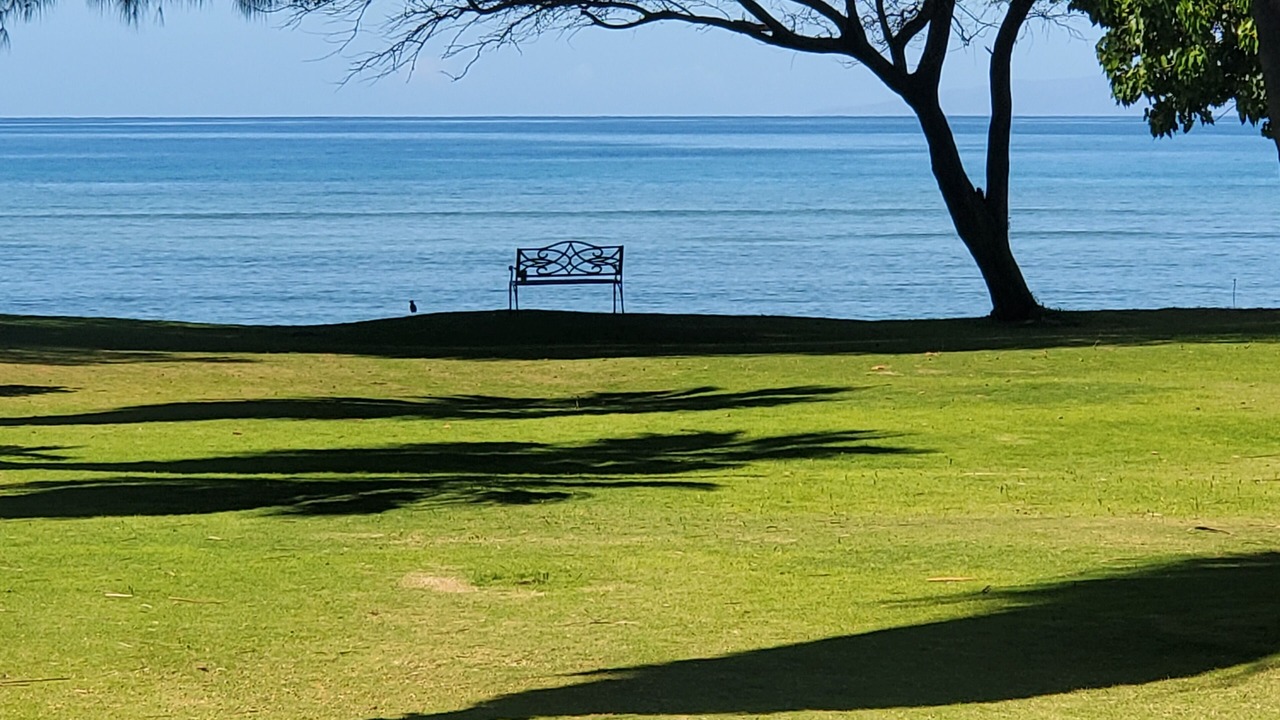 Photo of Others in Kihei