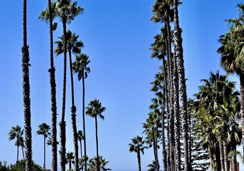 Photo of Others in Lower Hermosa