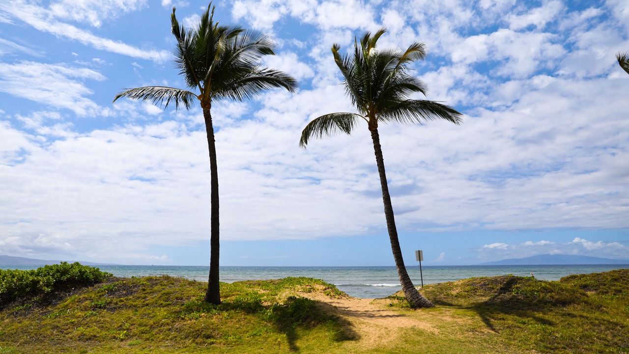 Photo of Outdoor in Kihei