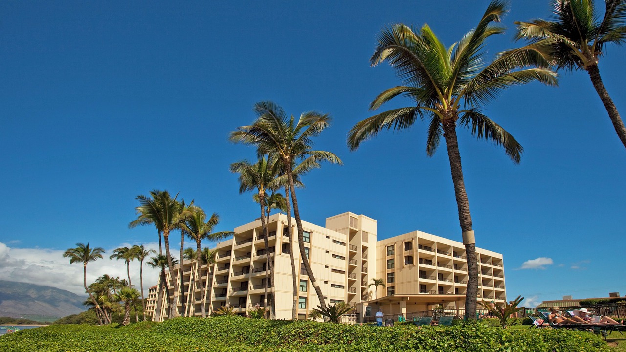 Photo of Outdoor in Kihei