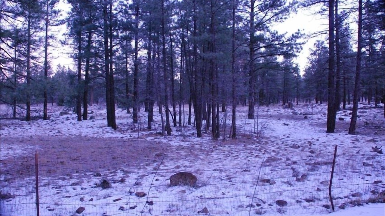Photo of Others in Munds Park