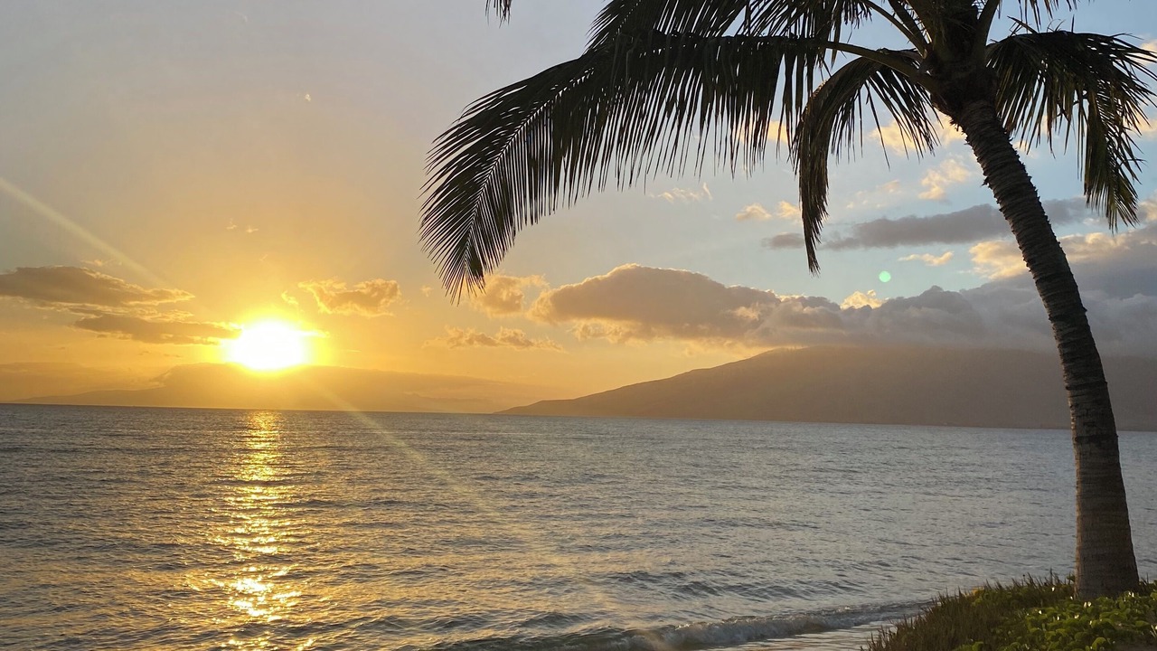 Photo of Others in Kihei