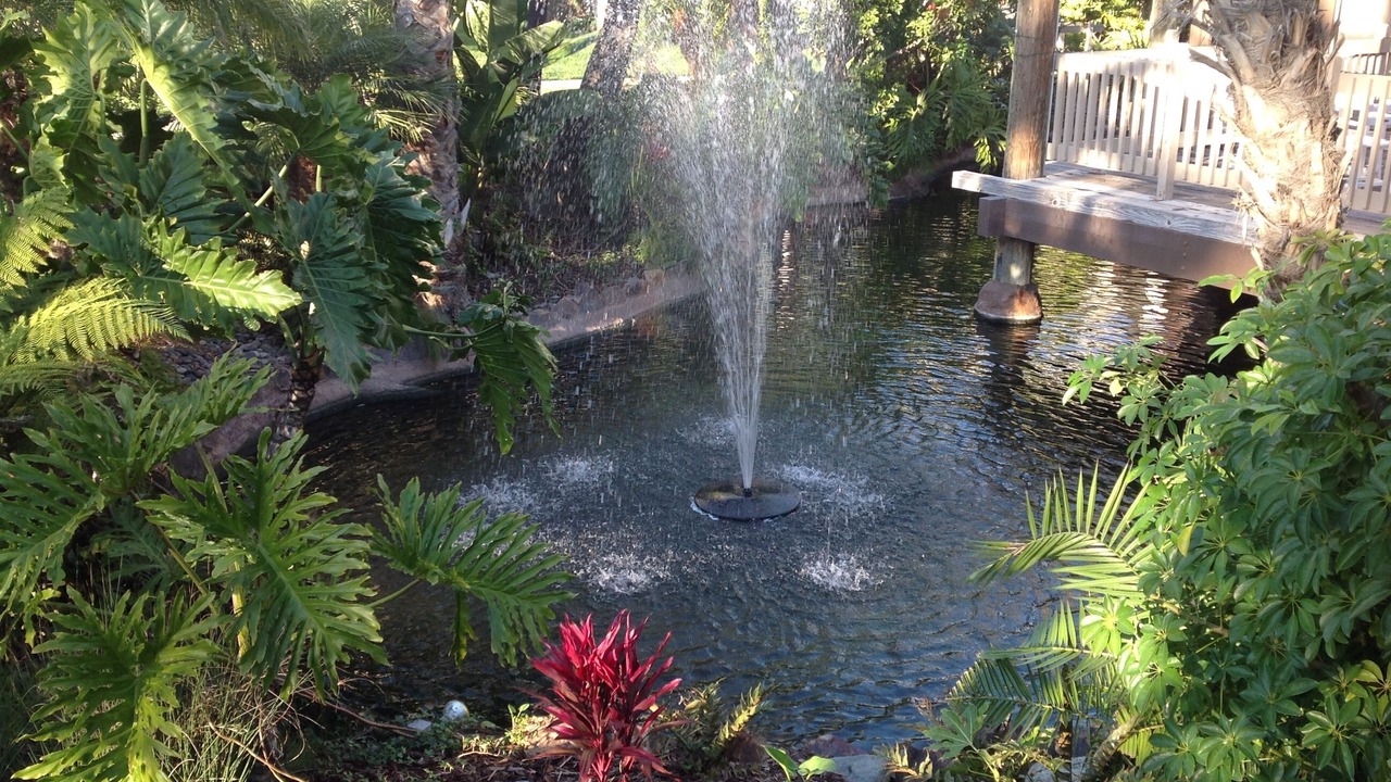 Photo of Outdoor in Oceanside