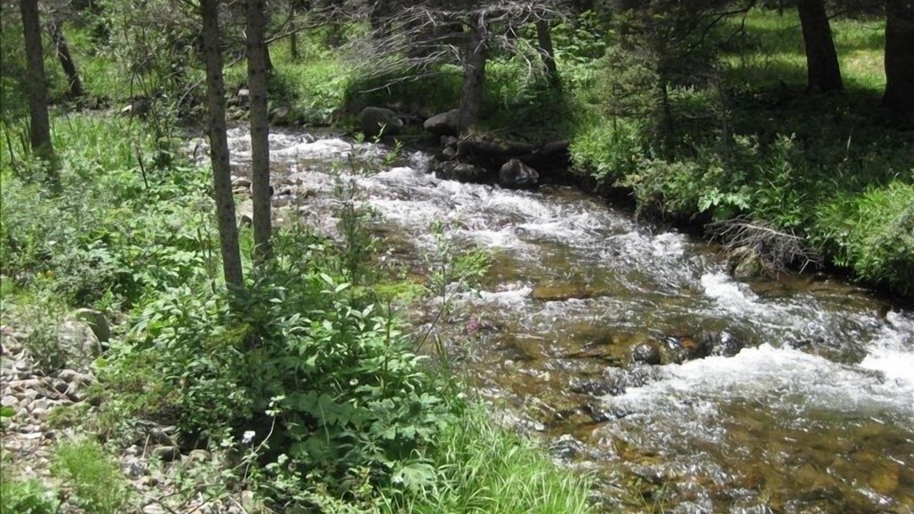 Photo of Others in Red River