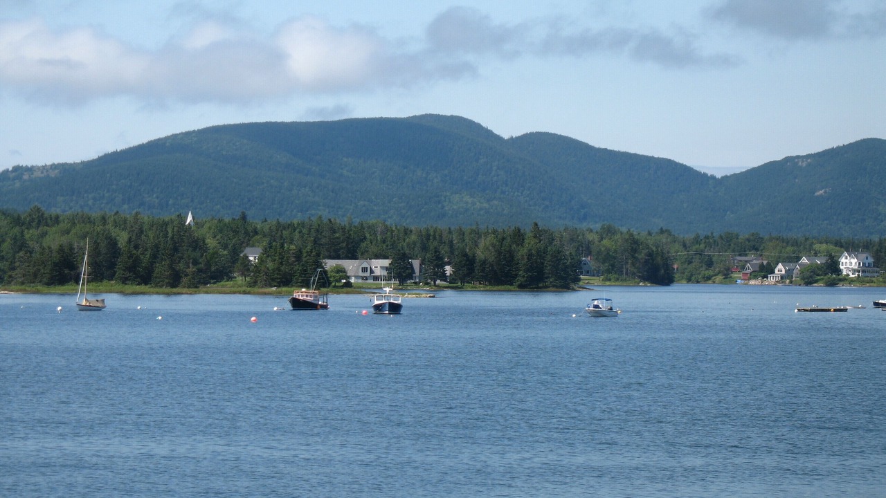 Photo of Others in Bass Harbor