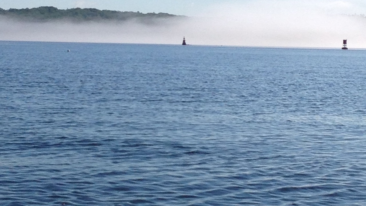 Photo of Others in Sandy Point