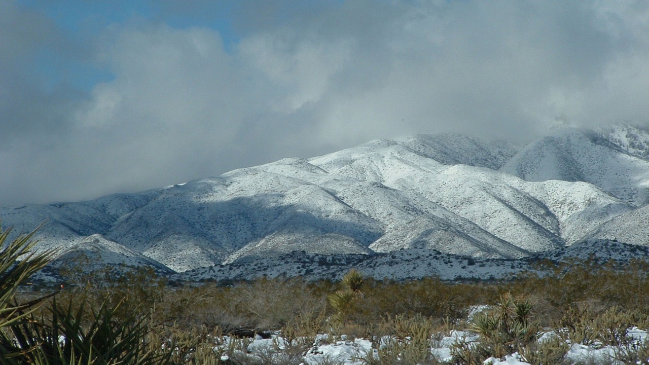 Photo of Others in Julian