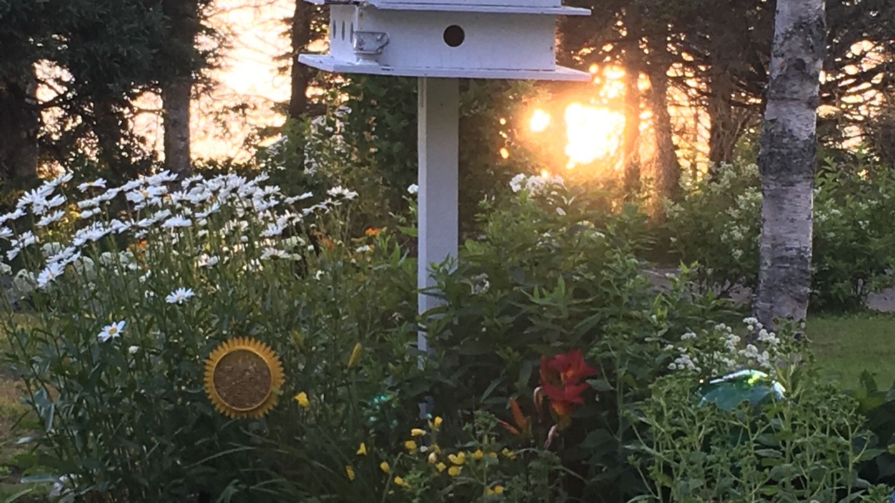 Photo of Outdoor in Pemaquid Point