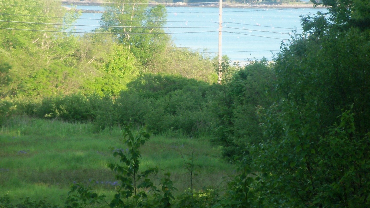 Photo of Others in Tenants Harbor
