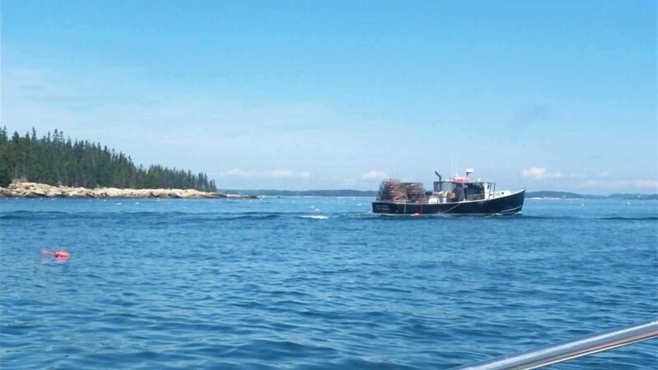 Photo of Others in Tenants Harbor