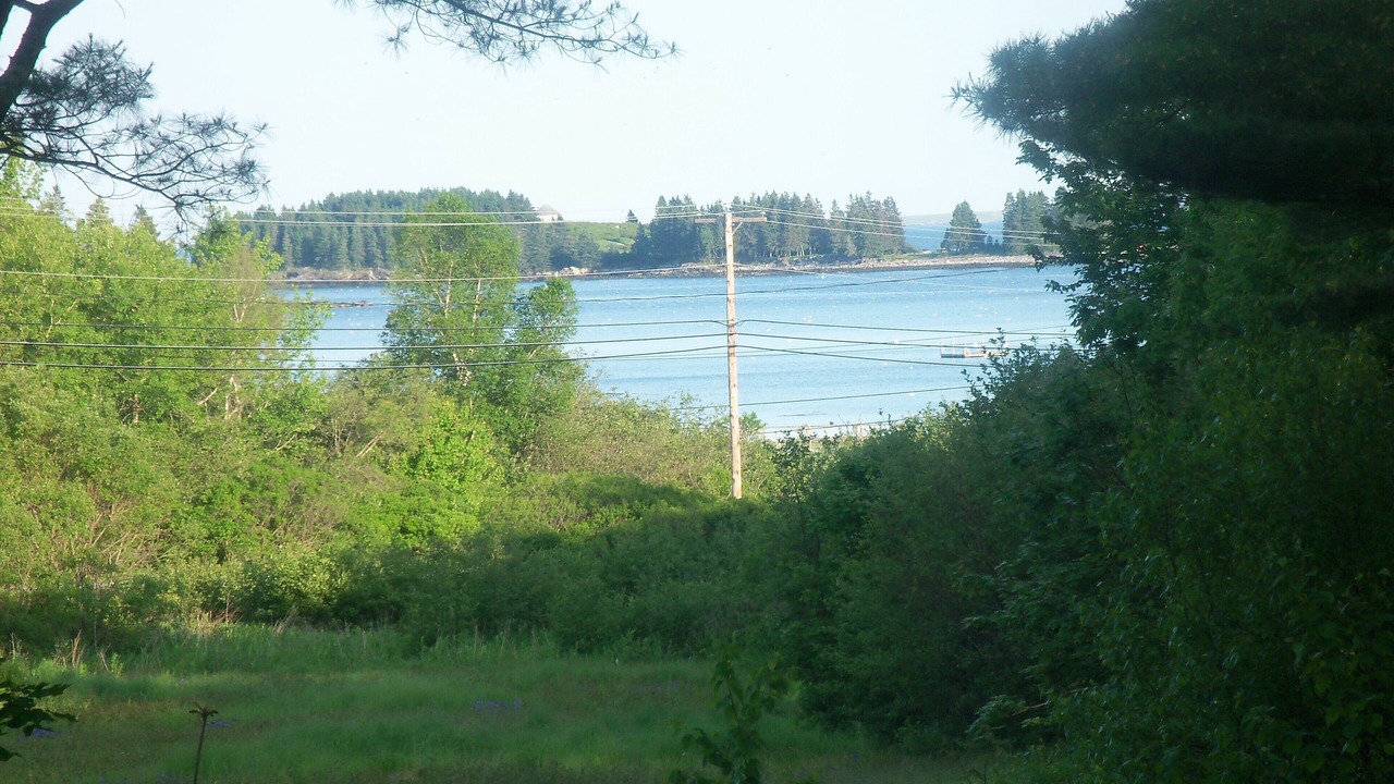 Photo of Outdoor in Tenants Harbor