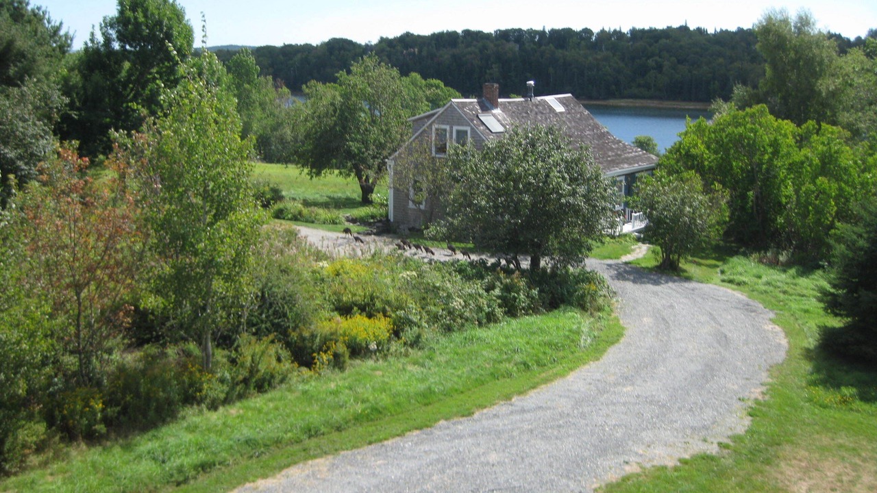 Photo of Others in Castine