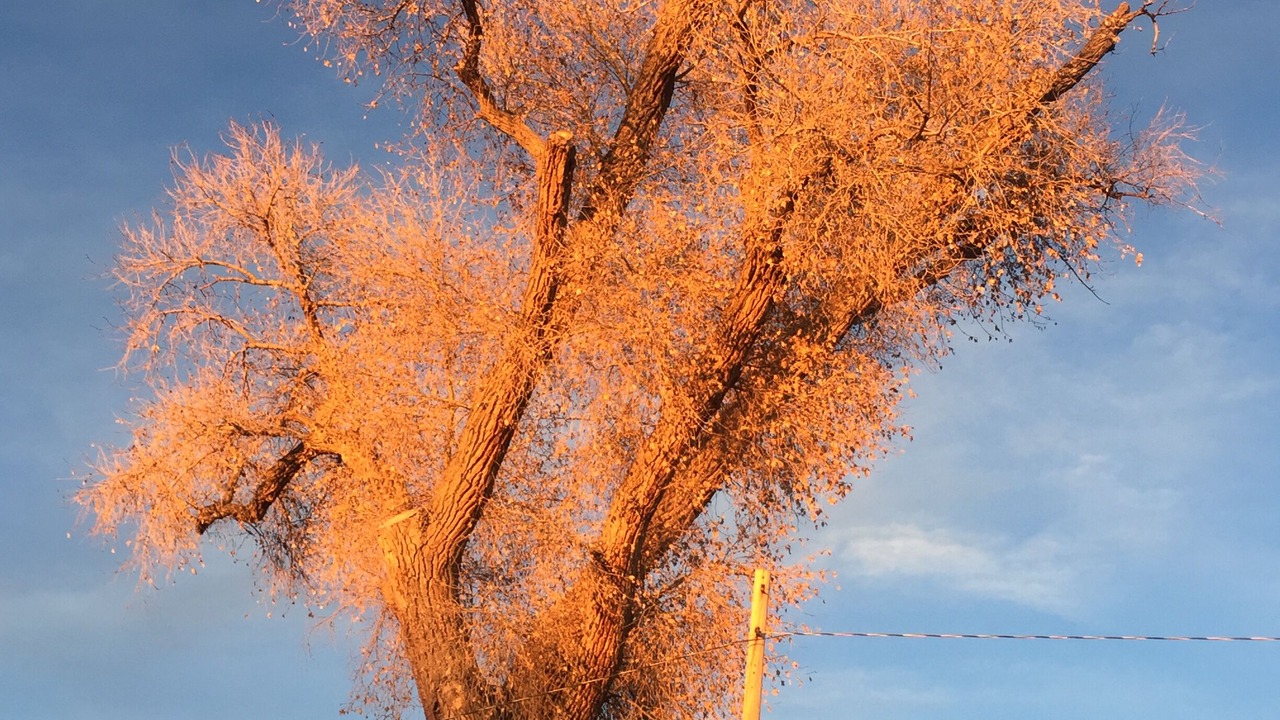 Photo of Others in Taos